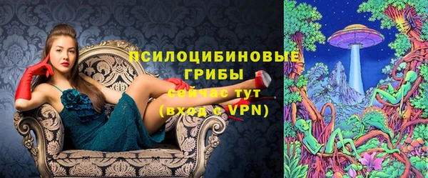 дживик Алексин