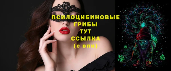 винт Алексеевка