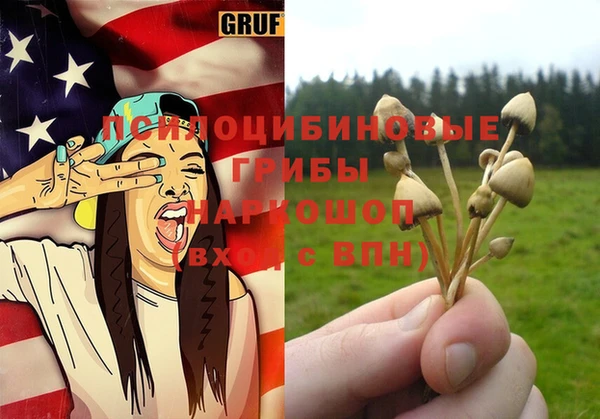 ешки Алзамай