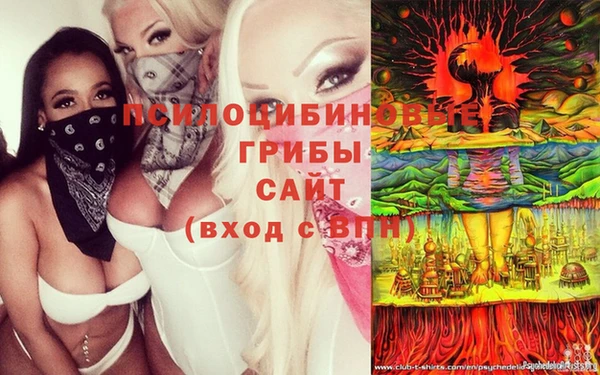 бошки Магас