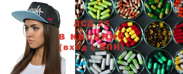 ешки Алзамай
