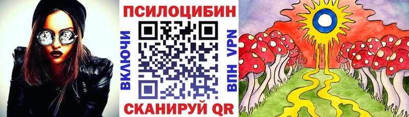 Псилоцибиновые грибы мухоморы  купить наркотики сайты  Сургут 